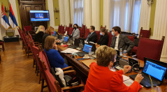 28 January 2021 The members of the National Assembly standing delegation at the winter session of the Parliamentary Assembly of the Council of Europe